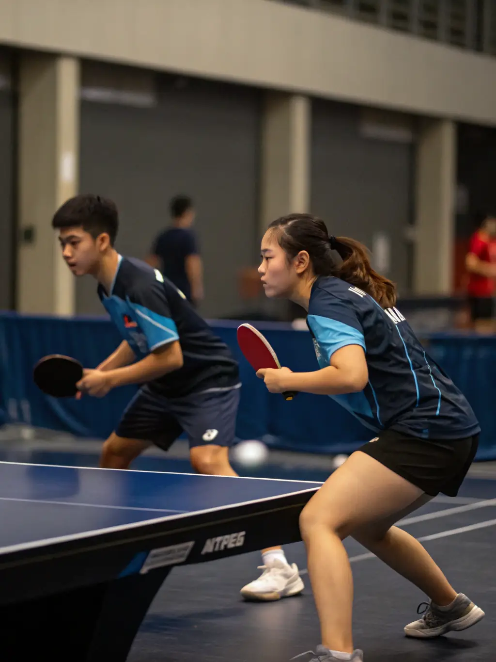 A dynamic image of a table tennis competition at TENNIS DE TABLE CAPELLE EN PEVELLE, showcasing players in intense match play with spectators cheering in the background.